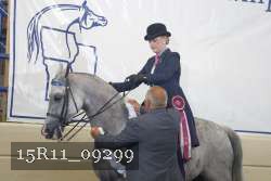 15R11_09299 thumbnail
