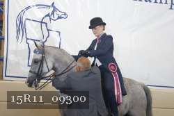 15R11_09300 thumbnail