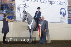 15R11_09301 thumbnail