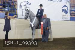15R11_09303 thumbnail