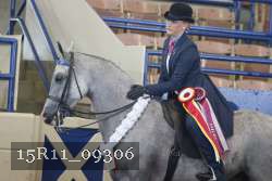 15R11_09306 thumbnail