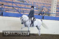 15R11_09334 thumbnail
