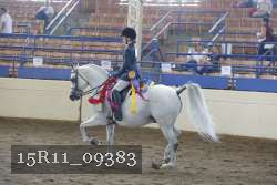 15R11_09383 thumbnail
