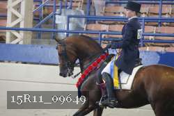 15R11_09649 thumbnail