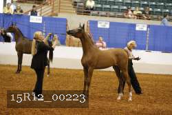 15R12_00223 thumbnail