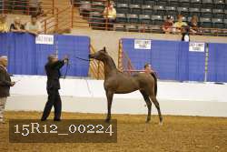15R12_00224 thumbnail