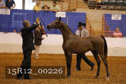 15R12_00226 thumbnail