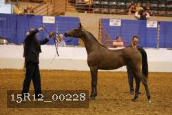 15R12_00228 thumbnail