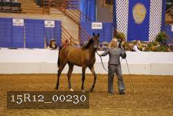 15R12_00230 thumbnail