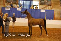 15R12_00232 thumbnail