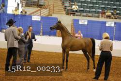 15R12_00233 thumbnail