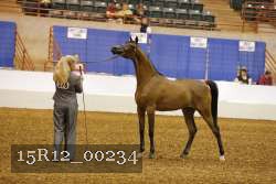 15R12_00234 thumbnail