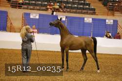 15R12_00235 thumbnail
