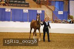 15R12_00236 thumbnail
