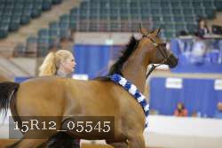 15R12_05545 thumbnail