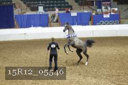 15R12_05546 thumbnail