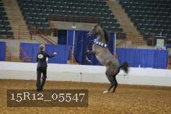 15R12_05547 thumbnail