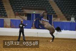 15R12_05548 thumbnail