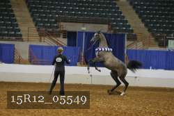 15R12_05549 thumbnail