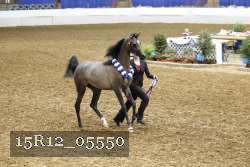 15R12_05550 thumbnail