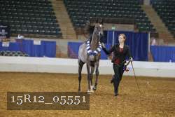 15R12_05551 thumbnail
