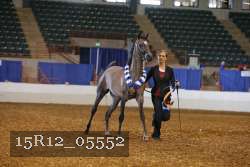 15R12_05552 thumbnail
