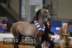 15R12_05553 thumbnail
