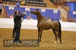 15R12_00347 thumbnail