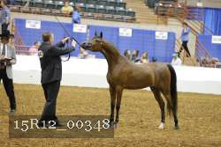 15R12_00348 thumbnail