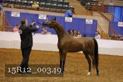15R12_00349 thumbnail