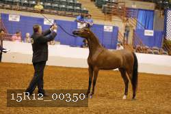 15R12_00350 thumbnail