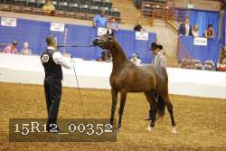 15R12_00352 thumbnail