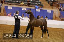 15R12_00354 thumbnail