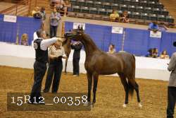 15R12_00358 thumbnail