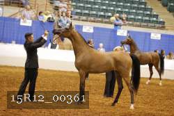 15R12_00361 thumbnail