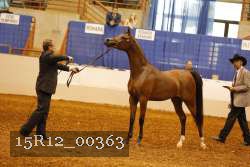 15R12_00363 thumbnail