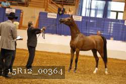 15R12_00364 thumbnail