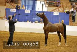 15R12_00368 thumbnail