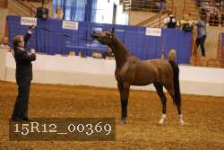 15R12_00369 thumbnail