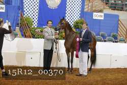 15R12_00370 thumbnail