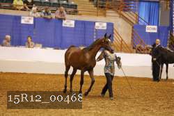 15R12_00468 thumbnail