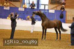 15R12_00489 thumbnail