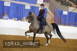 15R12_00897 thumbnail