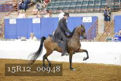 15R12_00948 thumbnail