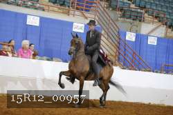 15R12_00957 thumbnail