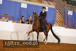 15R12_00646 thumbnail