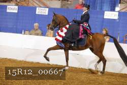 15R12_00667 thumbnail