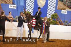 15R12_00699 thumbnail