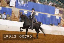15R12_00750 thumbnail