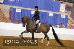 15R12_00845 thumbnail